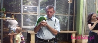 Darek, Mężczyzna, 60, Łódź, Polska, Zdjęcie: 1