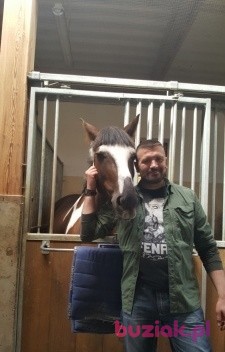 Artur, Mężczyzna, 47, Gdynia, Polska, Zdjęcie: 2