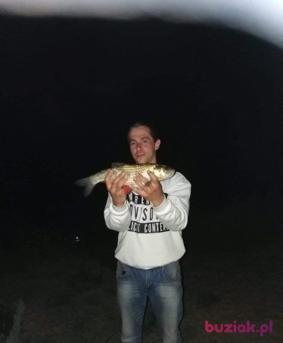 Adrian, Mężczyzna, 36, Śrem, Polska: 1