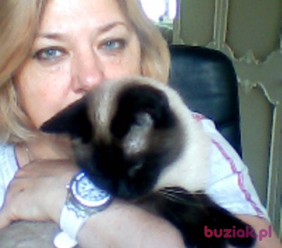 Violetta, Kobieta, 69, Berlin, Niemcy, Zdjęcie: 1