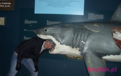 Marcin, Male, 45, Trzebiatów, Polska, Photo: 2