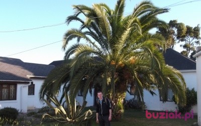 Rusek1014, Male, 36, Kwidzyn, Polska, Photo: 2
