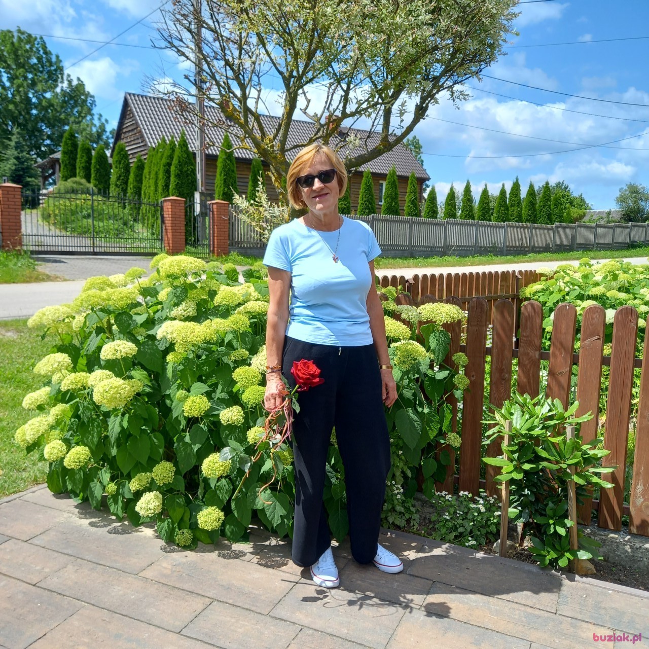 Halina, Female, 65, Opoczno, Polska: 1
