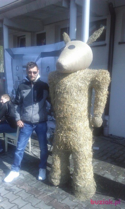 Przemek  , Mężczyzna, 35, Jaworzno, Polska, Zdjęcie: 4