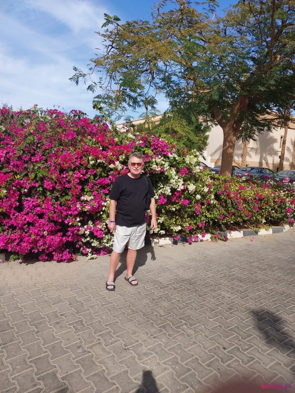 zoltan01, Mężczyzna, 66, Olsztyn, Polska: 1