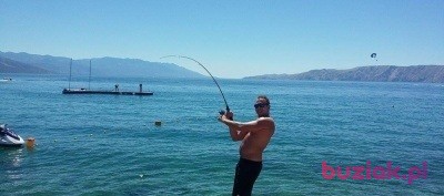 Tomus, Male, 39, Neuburg an der Donau Upper Bavaria Bavaria, Niemcy, Photo: 1