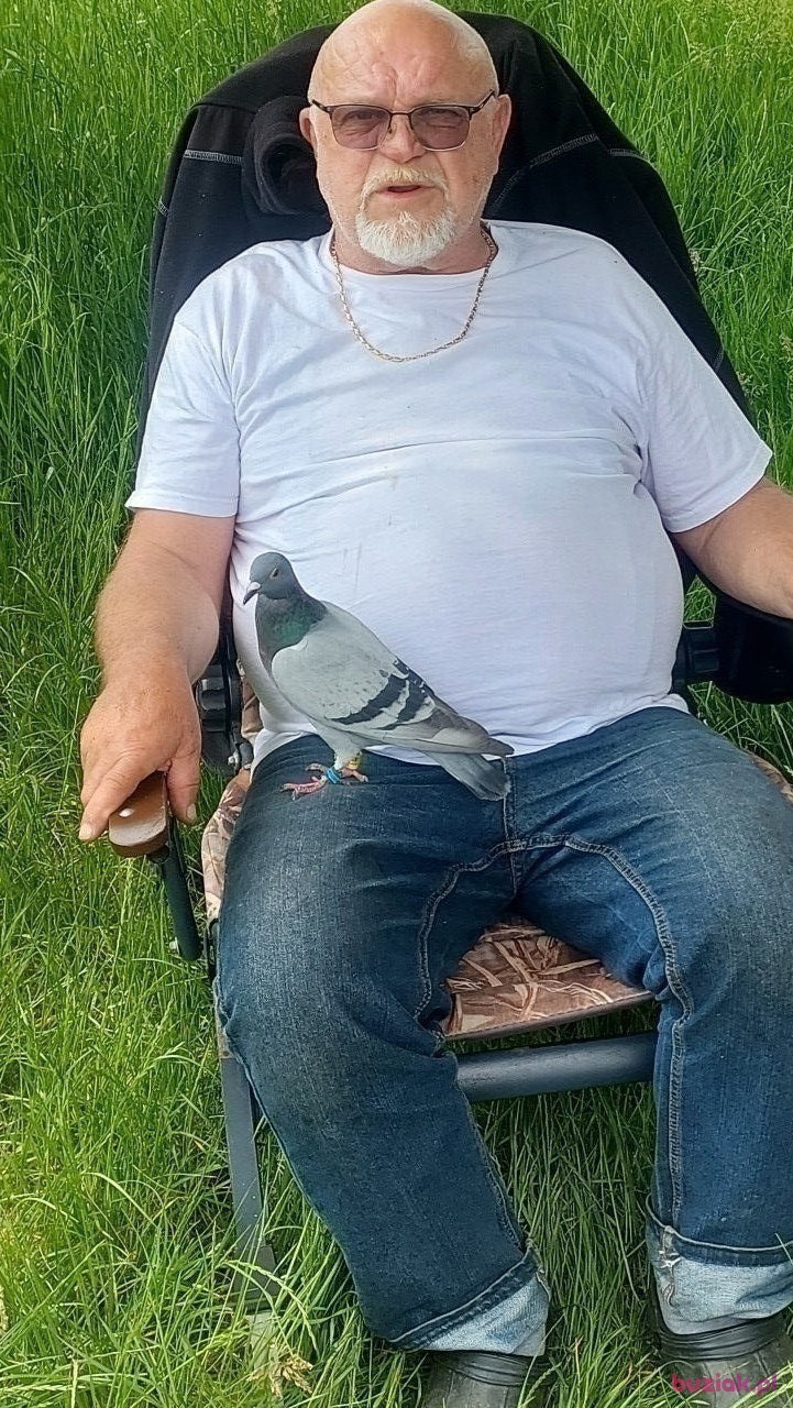 Andrzej, Male, 67, Wrocław, Polska, Photo: 2