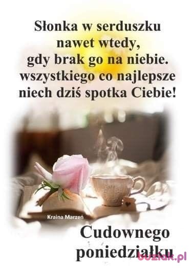 Janina, Female, 72, Tarnowskie Góry, Polska, Photo: 4