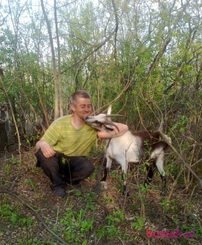 Sergei, Mężczyzna, 50, Gliwice, Polska, Zdjęcie: 2