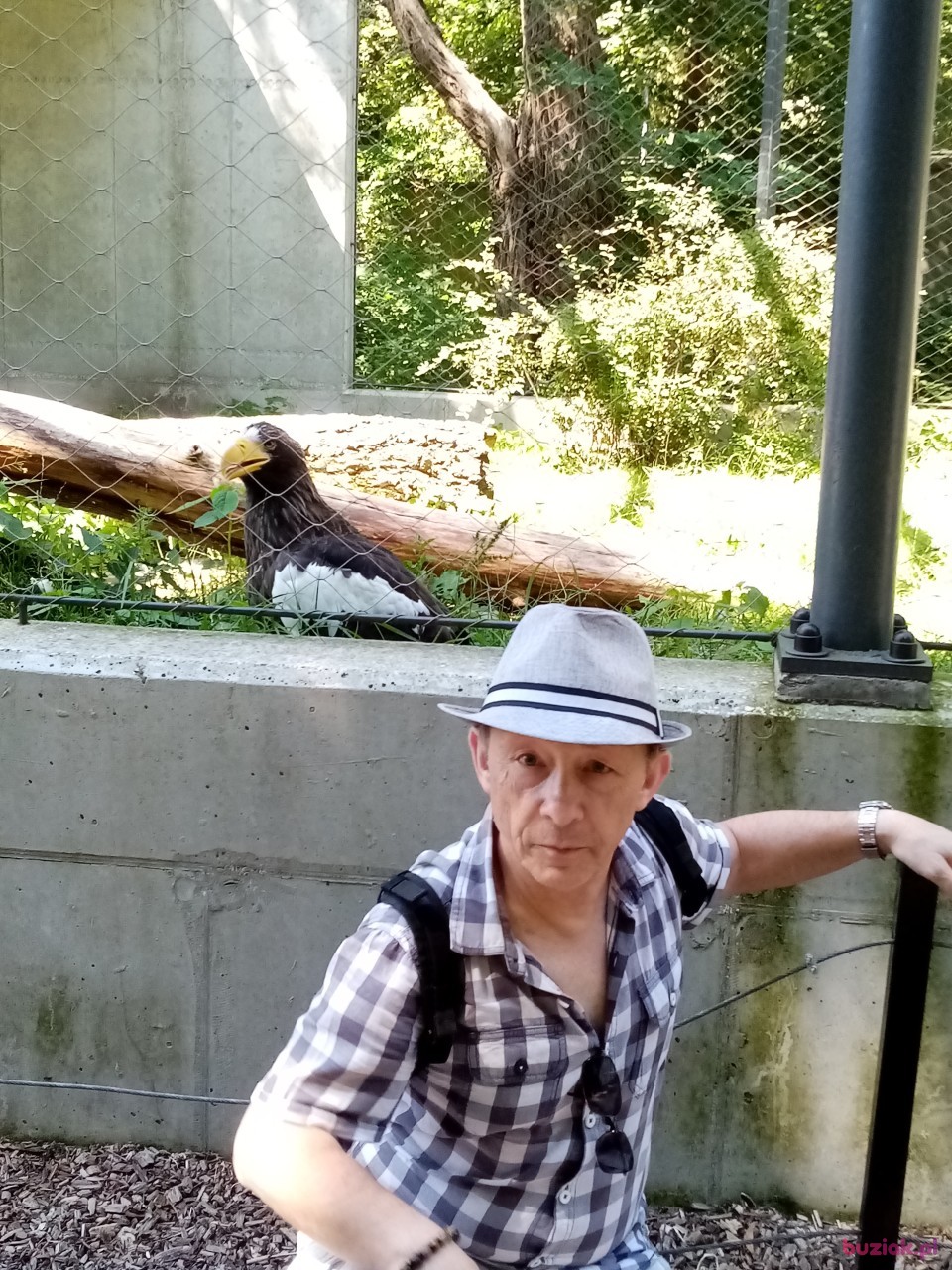 Piotr, Mężczyzna, 58, Warszawa, Polska, Zdjęcie: 3