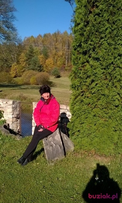 Teresa, Kobieta, 68, Dąbrowa Górnicza, Polska, Zdjęcie: 1