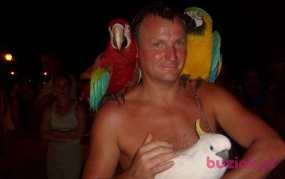 PB13, Mężczyzna, 58, Kraków, Polska: 1