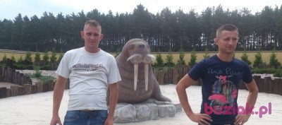 Michał, Male, 41, Mińsk Mazowiecki, Polska, Photo: 2