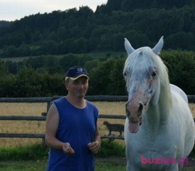 jan, Male, 53, Nysa, Polska, Photo: 2
