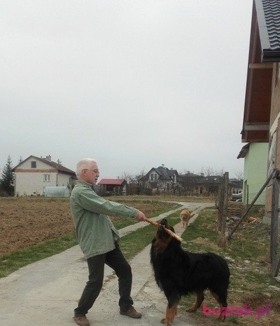 Krzysiek, Male, 64, Rzeszów, Polska, Photo: 2
