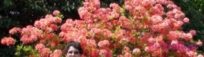 Ania, Kobieta, 43, Warszawa, Polska, Zdjęcie: 1