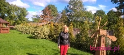 aromantica, Kobieta, 55, Polska, Zdjęcie: 1