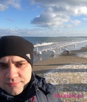 Sergey, Male, 39, Gdańsk, Polska, Photo: 3