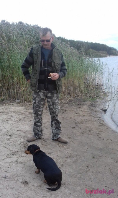 Adam, Mężczyzna, 62, Bełchatów, Polska, Zdjęcie: 3