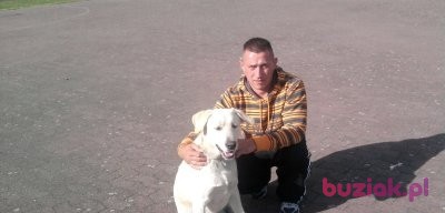 Piotr, Mężczyzna, 44, Świdwin, Polska, Zdjęcie: 1