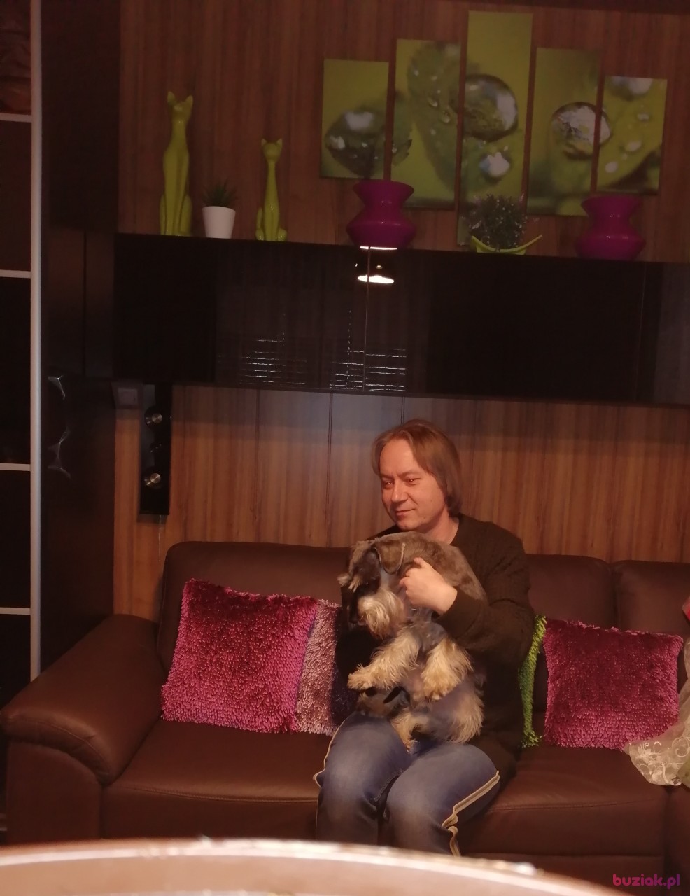 Jack4, Male, 51, Rzeszów, Polska, Photo: 1