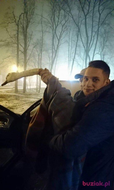 Kamil, Mężczyzna, 35, Niemcy, Zdjęcie: 3