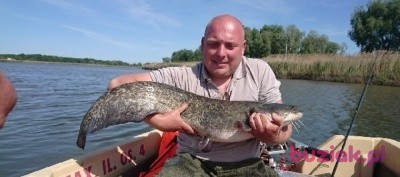 robert, Mężczyzna, 44, Wrocław, Polska: 1
