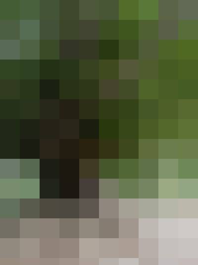 m m, Male, 70, Leżajsk, Polska, Photo: 2