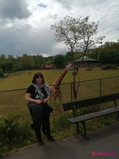 ASIA, Kobieta, 44, Chełmno, Polska, Zdjęcie: 2