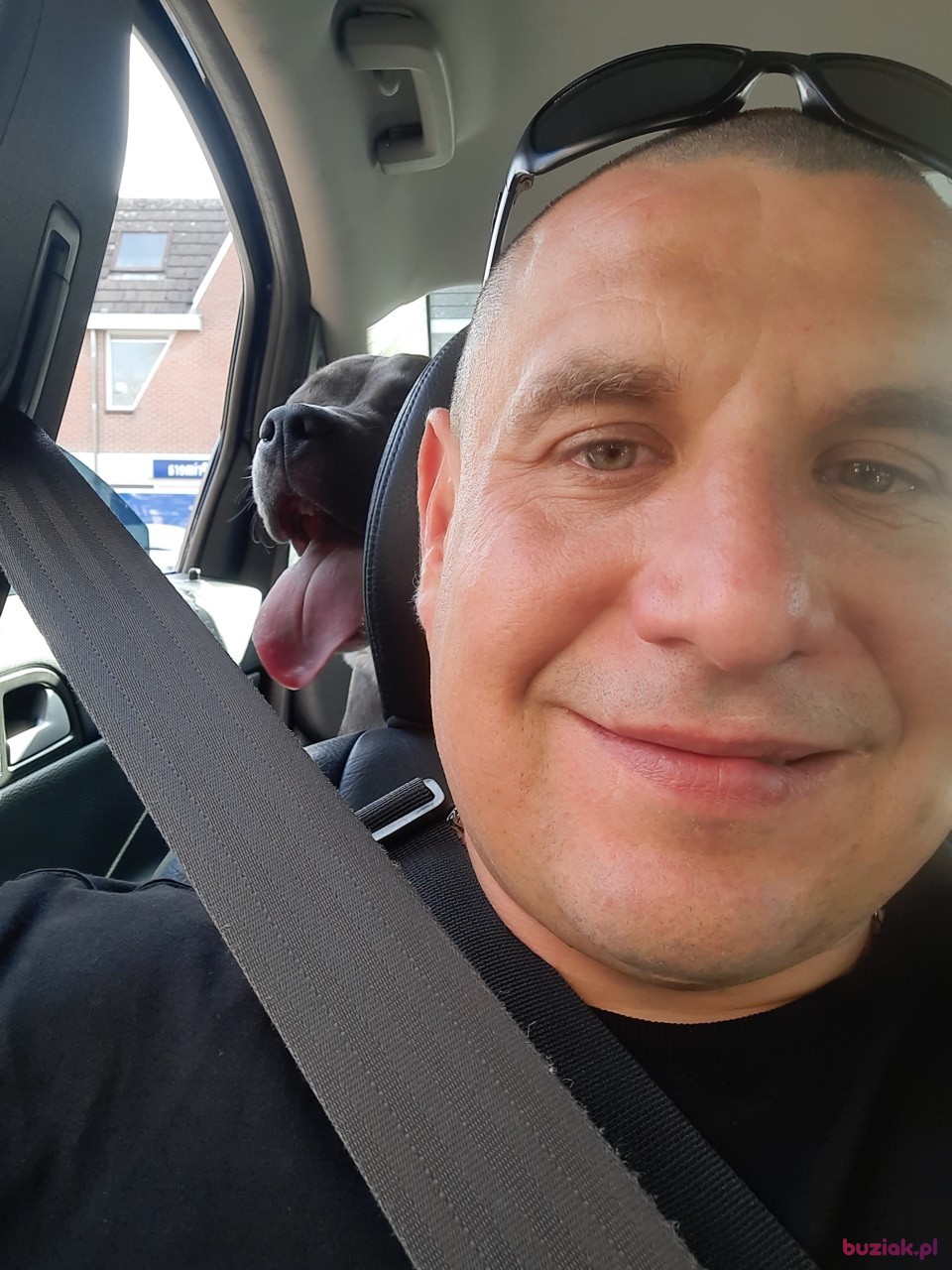 PATRYKZet, Male, 41, Haarlem North Holland Province, Holandia: 1