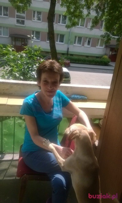 malgorzata, Kobieta, 55, Kraków, Polska, Zdjęcie: 5