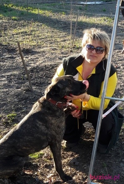 Olya, Female, 54, Gdynia, Polska, Photo: 2