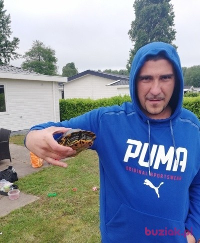 Grzegorz, Mężczyzna, 36, Rotterdam South Holland Province, Holandia: 1