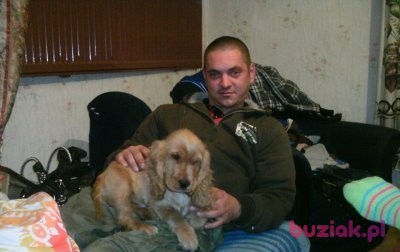 sebastian, Mężczyzna, 42, Kraśnik, Polska, Zdjęcie: 2