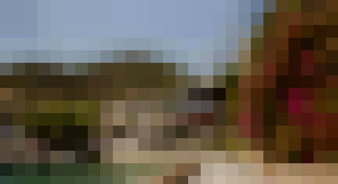 Dominika, Kobieta, 30, 's-Hertogenbosch, Holandia: 1