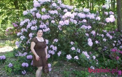 penelopa06d, Female, 56, Oleśnica, Polska: 1