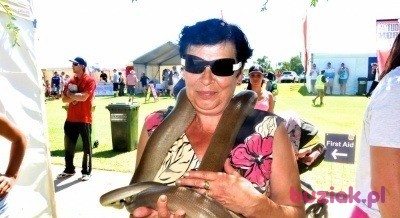Ziutka61, Female, 72, Bielawa, Polska, Photo: 6