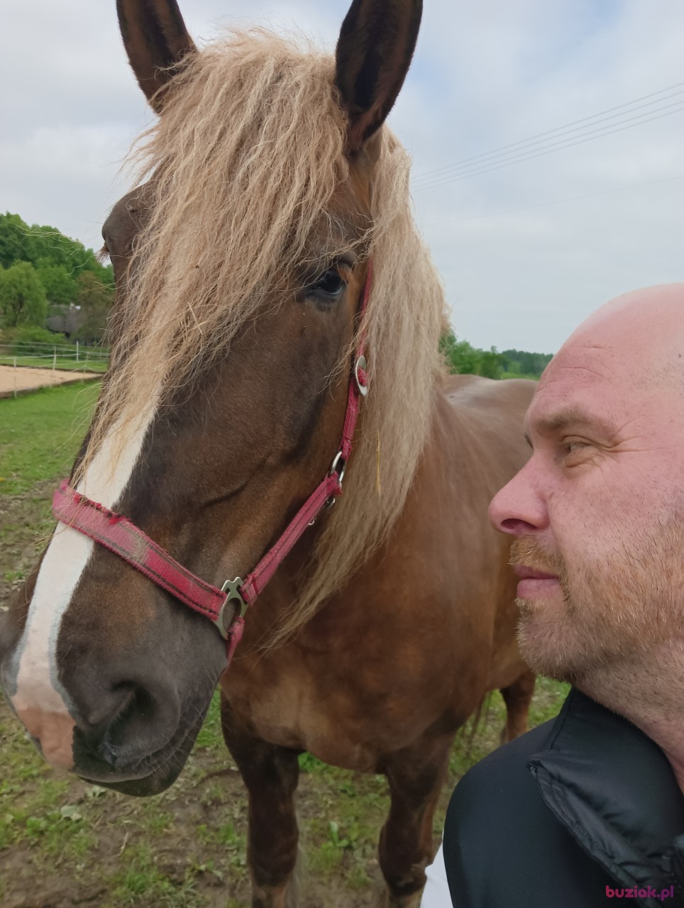 Kajo, Mężczyzna, 42, Dortmund, Niemcy: 1