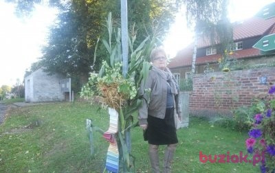 grazyna, Female, 71, Sandnes, Norwegia, Photo: 2