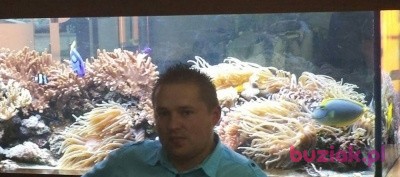 Tomek, Male, 39, Polska: 1