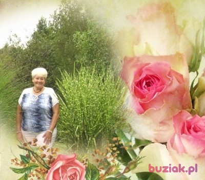 joanna-wawrzycz, Female, 79, Cieszyn, Polska: 1