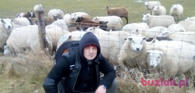 Lukasz, Male, 42, Holandia, Photo: 1
