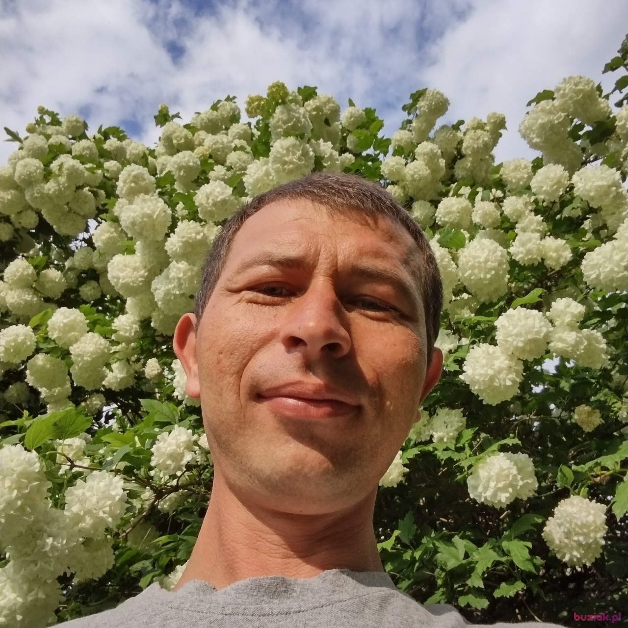 grześ, Male, 37, Ostrowiec Swiętokrzyski, Polska: 1