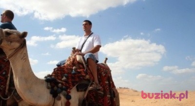 Mariusz, Male, 43, Żarki, Polska, Photo: 2