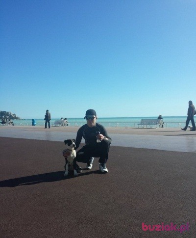 Marek, Male, 37, Syców, Polska, Photo: 2
