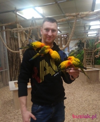 Łukasz, Male, 36, Sochaczew, Polska: 1