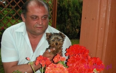 stefan46, Mężczyzna, 58, Wielka Brytania, Zdjęcie: 2