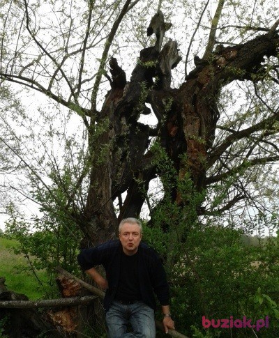 Marian, Mężczyzna, 59, Katowice, Polska, Zdjęcie: 1