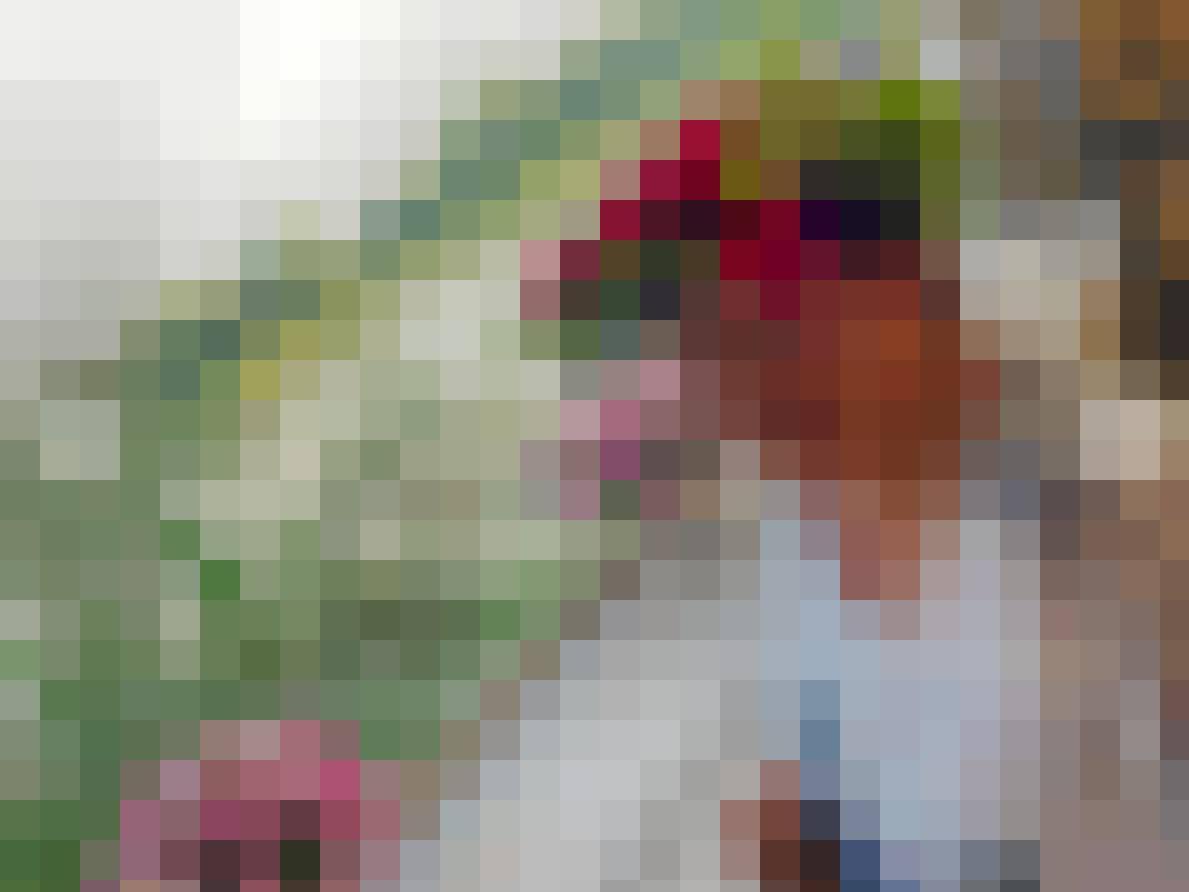 Ona, Female, 63, Zielona Góra, Polska, Photo: 4