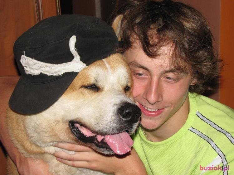Janusz, Mężczyzna, 32, Szprotawa, Polska: 1